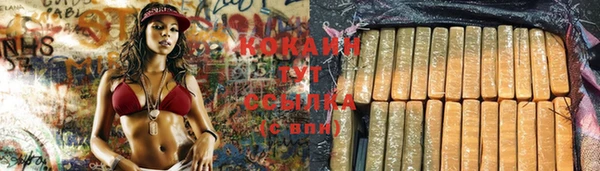 молекула духа Мегион