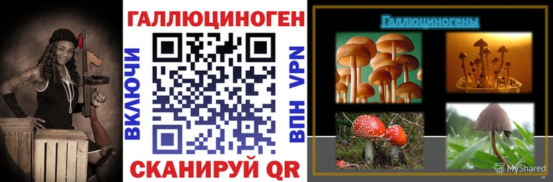 Псилоцибиновые грибы прущие грибы  купить закладку  Тимашёвск 